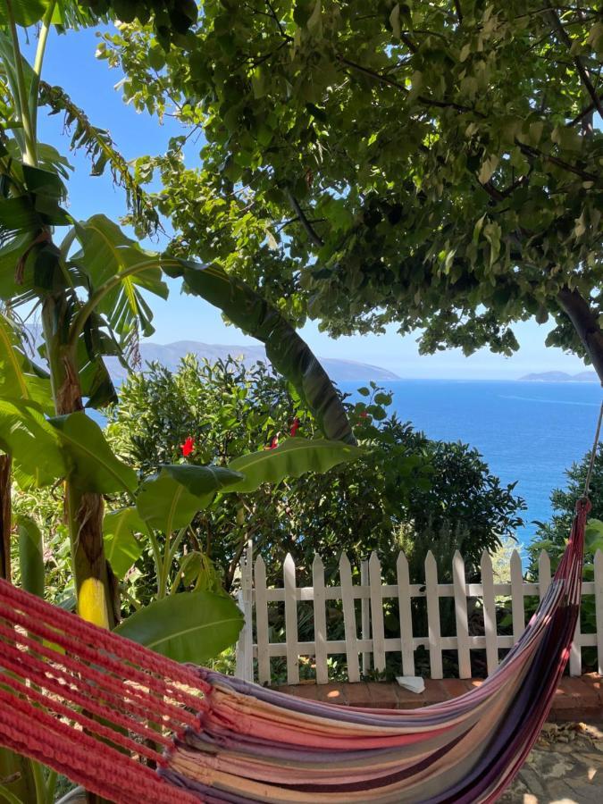 Vila Pashaj Vlorë 外观 照片